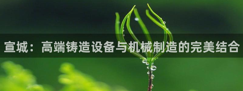 nba天辰娱乐:宣城:高端铸造设备与机械制造的完美结合