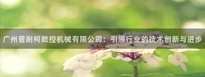 天辰娱乐在哪:广州普耐柯数控机械有限公司:引领行业的技术创新与进步