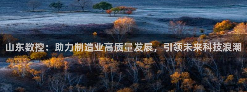 广东天辰娱乐:山东数控:助力制造业高质量发展,引领未来科技浪潮