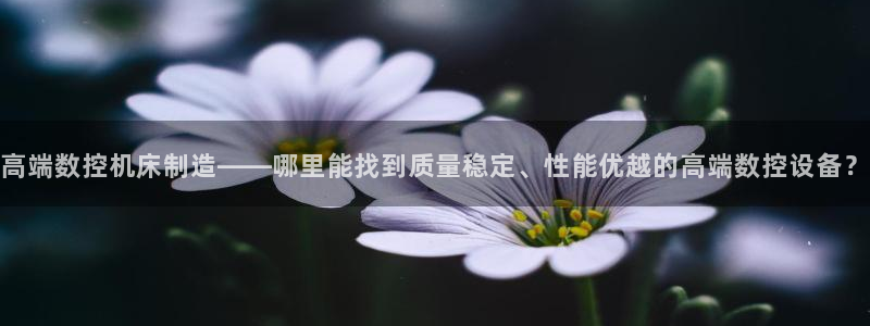 天辰娱乐39974神:高端数控机床制造——哪里能找到质量稳定、性能优越的高端数控设备?