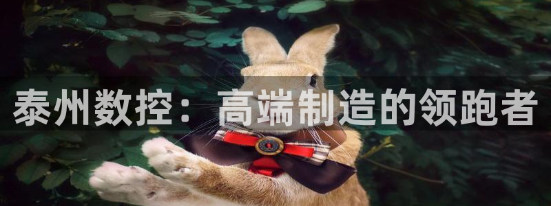 天辰娱乐平台安全吗:泰州数控:高端制造的领跑者