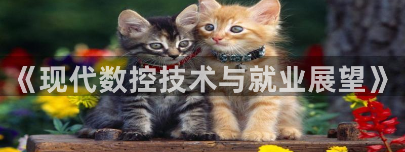天辰娱乐股票:《现代数控技术与就业展望》