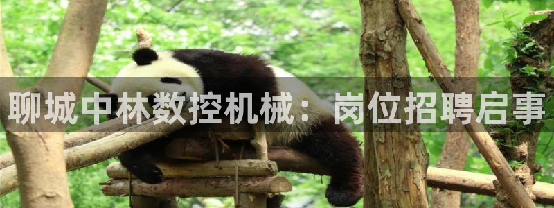 天辰娱乐-18113:聊城中林数控机械:岗位招聘启事