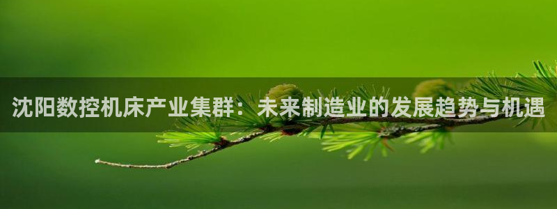 天辰娱乐官网平台入口:沈阳数控机床产业集群:未来制造业的发展趋势与机遇