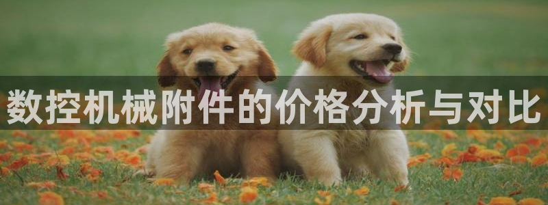 天辰娱乐 39974:数控机械附件的价格分析与对比