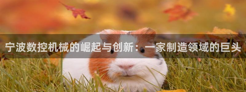 天辰娱乐官:宁波数控机械的崛起与创新:一家制造领域的巨头