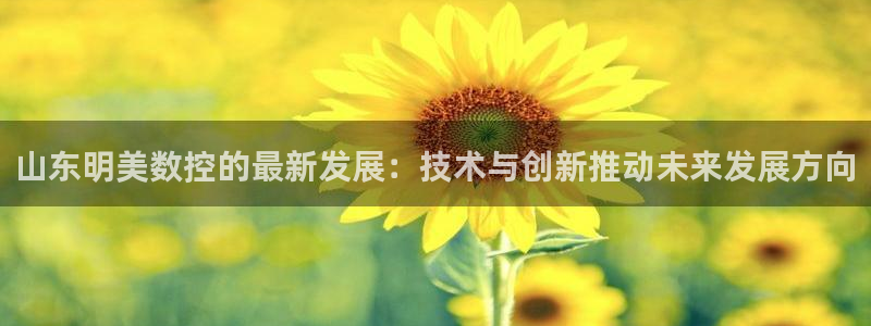 天辰娱乐主页:山东明美数控的最新发展:技术与创新推动未来发展方向