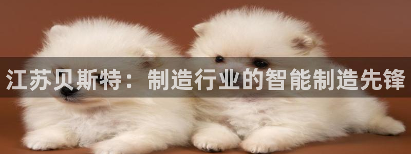 天辰娱乐分红:江苏贝斯特:制造行业的智能制造先锋