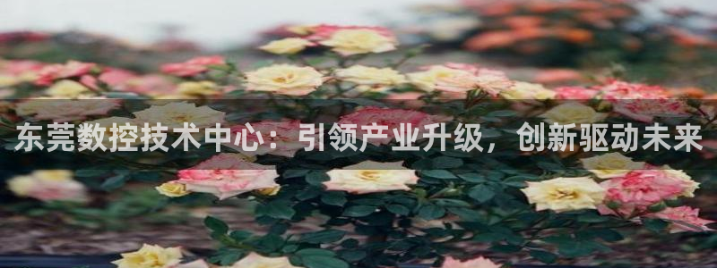 天辰娱乐2:东莞数控技术中心:引领产业升级,创新驱动未来