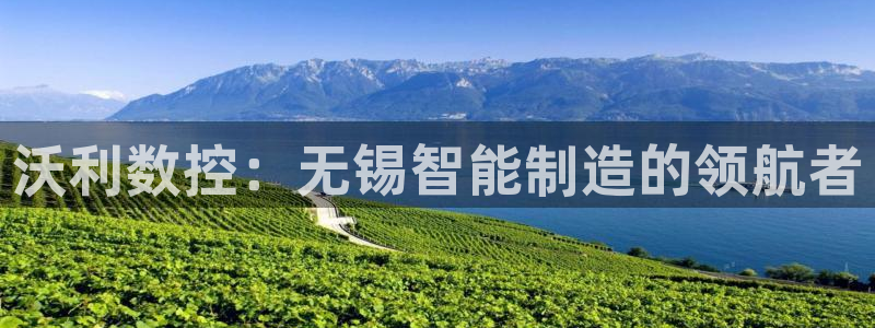 天辰娱乐1966:沃利数控:无锡智能制造的领航者