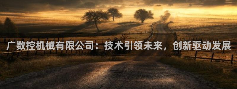 天辰娱乐论坛:广数控机械有限公司:技术引领未来,创新驱动发展