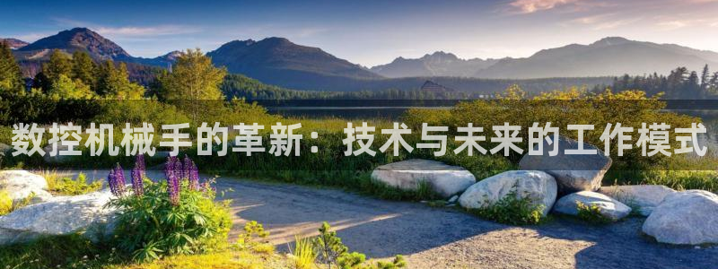 天辰娱乐集团:数控机械手的革新:技术与未来的工作模式