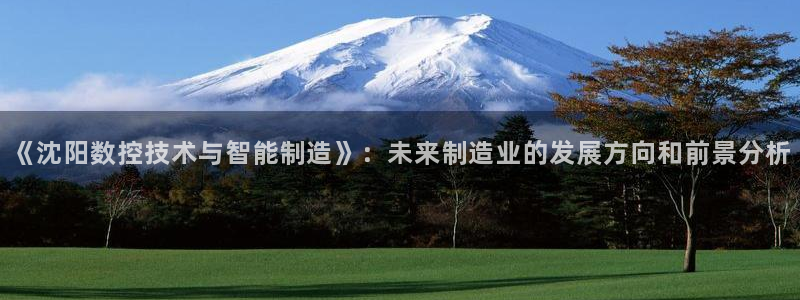 下载天辰娱乐:《沈阳数控技术与智能制造》:未来制造业的发展方向和前景分析