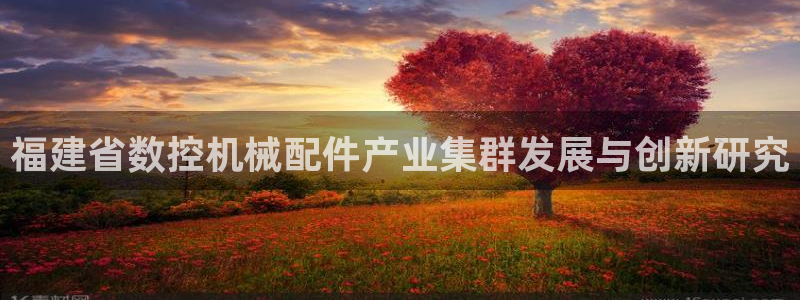 天辰辰娱乐代理:福建省数控机械配件产业集群发展与创新研究