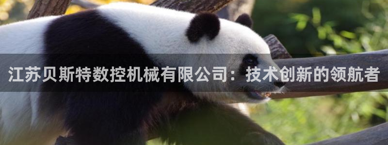 天辰娱乐总管年薪:江苏贝斯特数控机械有限公司:技术创新的领航者